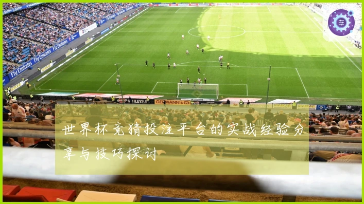 世界杯竞猜投注平台的实战经验分享与技巧探讨