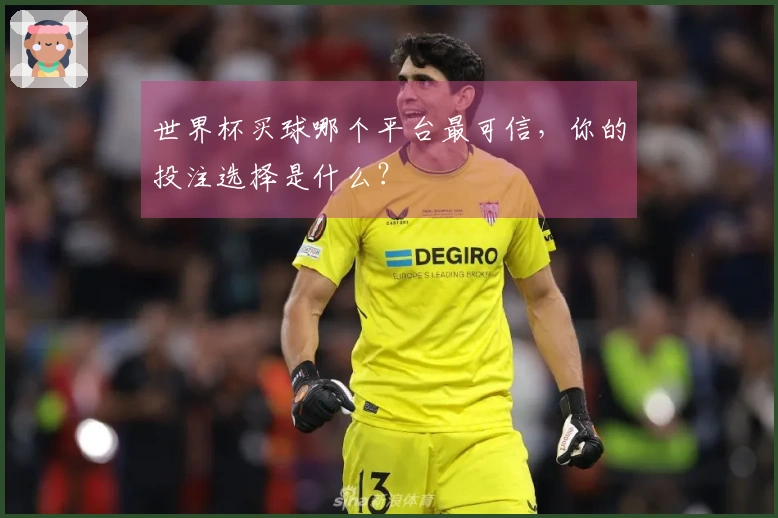 世界杯买球哪个平台最可信，你的投注选择是什么？