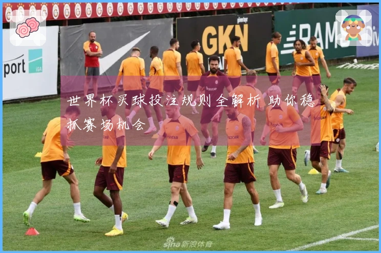 世界杯买球投注规则全解析 助你稳抓赛场机会