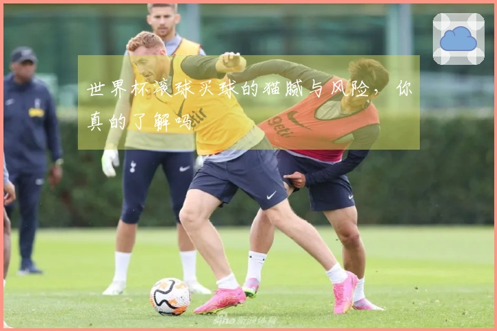 世界杯滚球买球的猫腻与风险，你真的了解吗