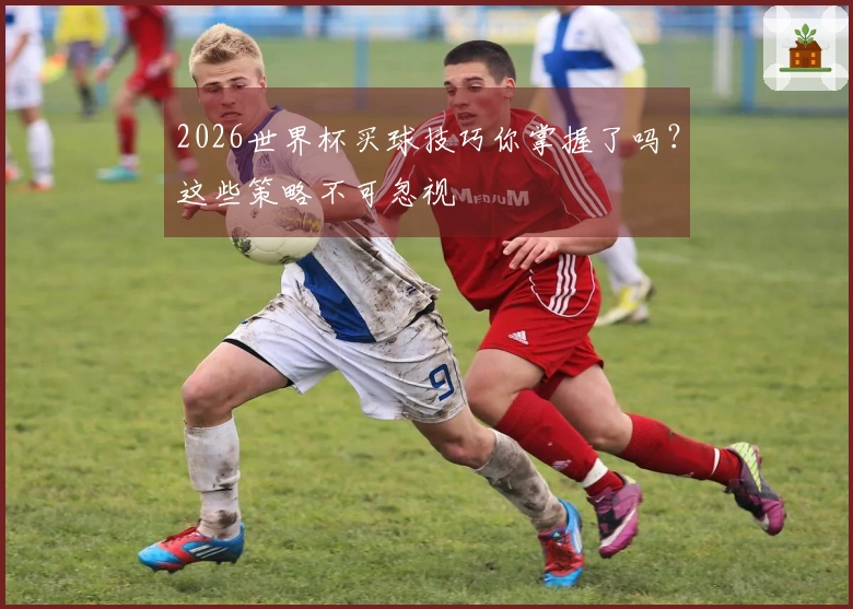 2026世界杯买球技巧你掌握了吗？这些策略不可忽视