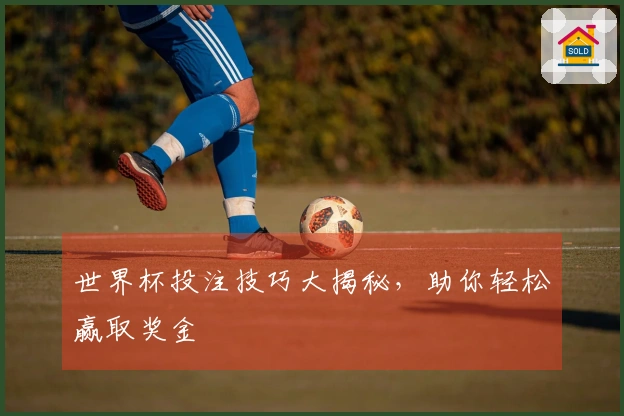 世界杯投注技巧大揭秘，助你轻松赢取奖金
