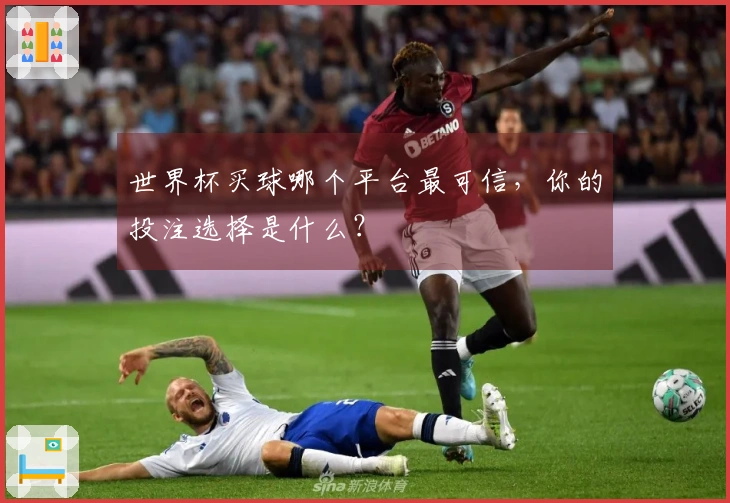世界杯买球哪个平台最可信，你的投注选择是什么？