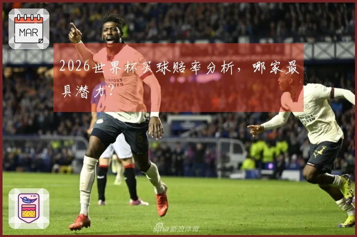2026世界杯买球赔率分析，哪家最具潜力？