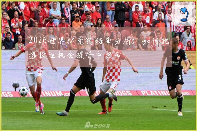 2026世界杯竞猜赔率分析：如何把握投注机会提升中奖率