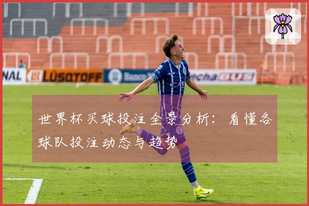 世界杯买球投注全景分析：看懂各球队投注动态与趋势