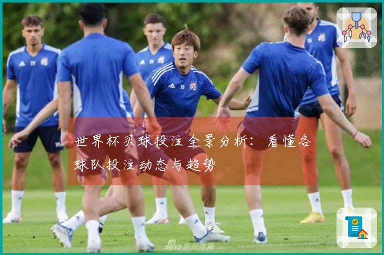 世界杯买球投注全景分析：看懂各球队投注动态与趋势