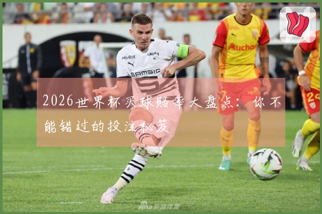 2026世界杯买球赔率大盘点：你不能错过的投注秘笈