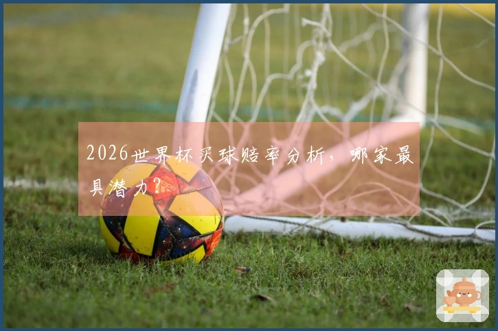 2026世界杯买球赔率分析，哪家最具潜力？