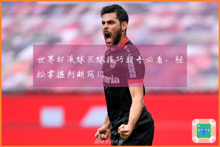 世界杯滚球买球技巧新手必看，轻松掌握判断窍门