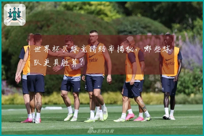 世界杯买球竞猜赔率揭秘，哪些球队更具胜算？