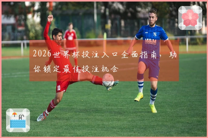 2026世界杯投注入口全面指南，助你锁定最佳投注机会