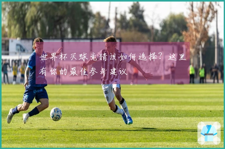 世界杯买球竞猜该如何选择？这里有你的最佳参考建议